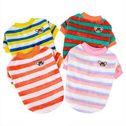 Pet clothes autumn and winter style rainbow striped small velvet coat cute warm Teddy cat clothing pet supplies Pet clothes autumn and winter style rainbow striped small velvet coat cute warm Teddy cat clothing pet supplies