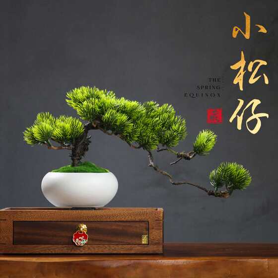 Simulated Welcoming Pine Bonsai Small Ornaments Bo Gu Shelf TV Cabinet Coffee Zen Office Desktop Decoration Chinese Style
Simulated Welcoming Pine Bonsai Small Ornaments Bo Gu Shelf TV Cabinet Coffee Zen Office Desktop Decoration Chinese Style