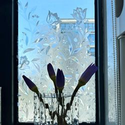 The Windows Are More Advanced~ Kitchen Glass Stickers Prevent Peeping, Are Light-Transmitting but Not See-Through, Protect Privacy, Bedroom Film The Windows Are More Advanced~ Kitchen Glass Stickers Prevent Peeping, Are Light-Transmitting but Not See-Through, Protect Privacy, Bedroom Film