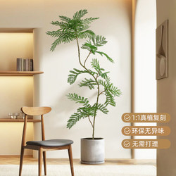 Simulated Green Plants, High-End Light Luxury Artificial Trees, Jacaranda, Advanced Bionic Decoration, Tropical Atmosphere, Landscape Next to the Sofa, Indoor Simulated Green Plants, High-End Light Luxury Artificial Trees, Jacaranda, Advanced Bionic Decoration, Tropical Atmosphere, Landscape Next to the Sofa, Indoor