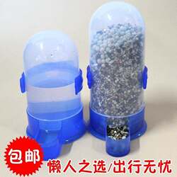 Rutin chicken feeder, feed bucket for chickens, parrot and pigeon drinking water, automatic feeding kettle, bird food box and trough Rutin chicken feeder, feed bucket for chickens, parrot and pigeon drinking water, automatic feeding kettle, bird food box and trough