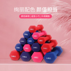 Dumbbells for Women's Fitness, Home Use, Plastic-Coated, Children's Hexagonal Solid Iron, Men's Yoga Solid Iron, Weight Loss Equipment, Small Dumbbells Dumbbells for Women's Fitness, Home Use, Plastic-Coated, Children's Hexagonal Solid Iron, Men's Yoga Solid Iron, Weight Loss Equipment, Small Dumbbells