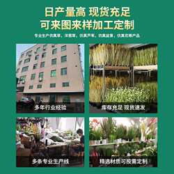 Cross-border artificial reed grass potted plants simulated plants home landscaping decoration office simulated green plants floor bonsai Cross-border artificial reed grass potted plants simulated plants home landscaping decoration office simulated green plants floor bonsai