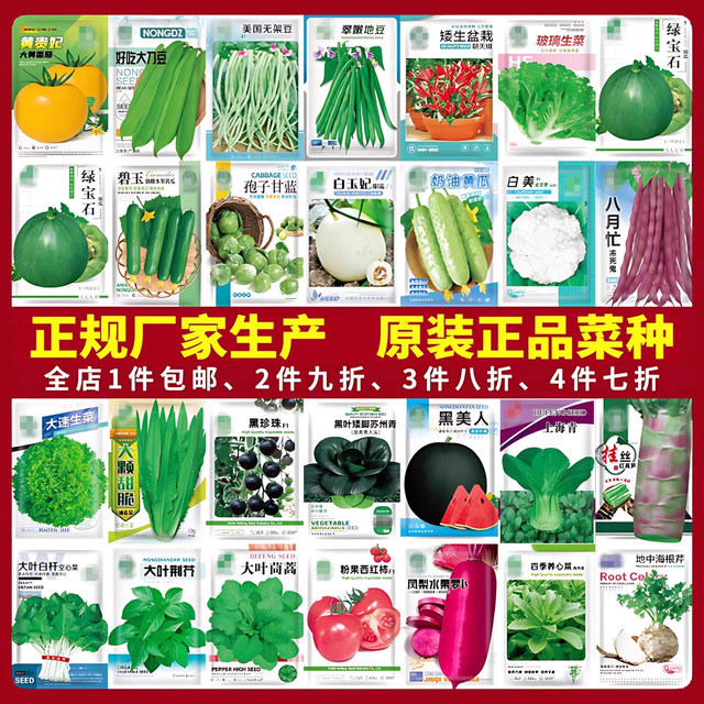 Vegetable seeds, coriander, tomato, pepper, spinach, cucumber, rapeseed, lettuce, radish and cabbage, sowing seeds in all seasons Vegetable seeds, coriander, tomato, pepper, spinach, cucumber, rapeseed, lettuce, radish and cabbage, sowing seeds in all seasons