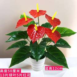 Artificial Anthurium Fake Flower Bouquet for Living Room Indoor Decoration Potted Plant Plastic Greenery Fake Flower Small Bonsai Ornament Artificial Anthurium Fake Flower Bouquet for Living Room Indoor Decoration Potted Plant Plastic Greenery Fake Flower Small Bonsai Ornament