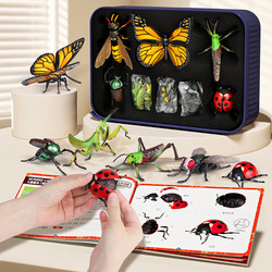 Newkey Children's Insect Toys Educational Simulation 4D Assembled Animal Model Butterfly Bee Mantis Early Education Cognitive Toy for Boys Newkey Children's Insect Toys Educational Simulation 4D Assembled Animal Model Butterfly Bee Mantis Early Education Cognitive Toy for Boys