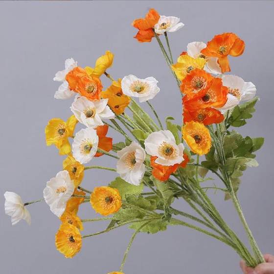 Poppy flowers in the Icelandic wind artificial flowers decoration living room dining table office flower arrangement art decoration
Poppy flowers in the Icelandic wind artificial flowers decoration living room dining table office flower arrangement art decoration