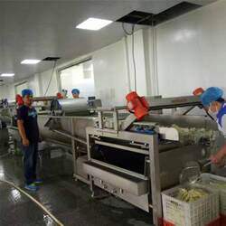Supply of snow pea bubble vegetable cleaning machine, quick-frozen vegetable cleaning machine, food machinery and equipment Supply of snow pea bubble vegetable cleaning machine, quick-frozen vegetable cleaning machine, food machinery and equipment