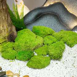 Moss, fake moss, indoor micro-landscape, artificial turf, green plant wall, plant wall greening, decorative moss Moss, fake moss, indoor micro-landscape, artificial turf, green plant wall, plant wall greening, decorative moss