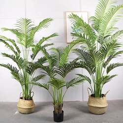 Large simulated green plant, imperial concubine, interior decoration, fake tree, potted plant, artificial tree plant, wealthy annua, phoenix phoenix Large simulated green plant, imperial concubine, interior decoration, fake tree, potted plant, artificial tree plant, wealthy annua, phoenix phoenix
