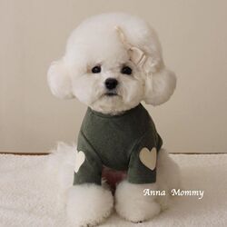 Dog Clothes Korean Style New Autumn and Winter Pet Clothes Cat Sweaters Decoration Puppy Teddy Bichon Schnauzer Dog Clothes Korean Style New Autumn and Winter Pet Clothes Cat Sweaters Decoration Puppy Teddy Bichon Schnauzer