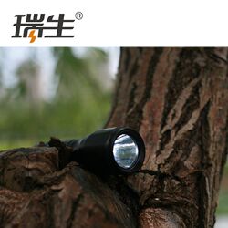 Ruisheng mini flashlight outdoor waterproof household lighting car portable 5 No. 5 AA one-piece dry battery LED Ruisheng mini flashlight outdoor waterproof household lighting car portable 5 No. 5 AA one-piece dry battery LED