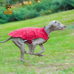 New pet clothes for autumn and winter, waterproof reflective large and medium-sized dog jackets, vest dog clothes, red dog clothes New pet clothes for autumn and winter, waterproof reflective large and medium-sized dog jackets, vest dog clothes, red dog clothes