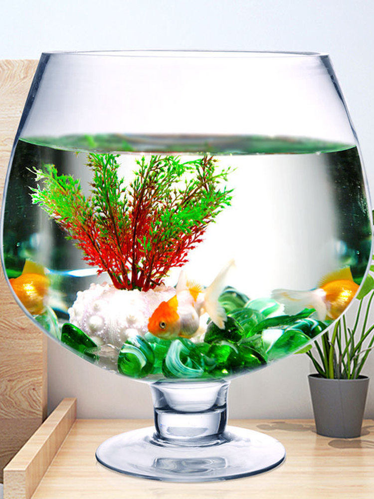 Jian xiang Overlord Small Glass Goldfish Bowl