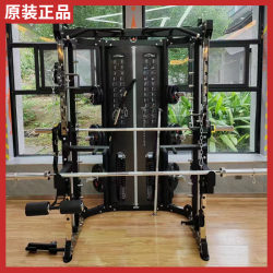 Genuine Shifite Multifunctional Smith Machine Commercial Small Bird-Of-Prey Rack Training Device Fitness Equipment Sf203 Genuine Shifite Multifunctional Smith Machine Commercial Small Bird-Of-Prey Rack Training Device Fitness Equipment Sf203