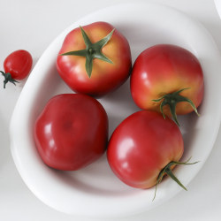 Weightened Realistic Large Tomato Ornament, High-Quality Realistic Tomato Plastic Model, Model Room Decoration Vegetable Prop Weightened Realistic Large Tomato Ornament, High-Quality Realistic Tomato Plastic Model, Model Room Decoration Vegetable Prop
