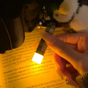 Minecraft keychain pendant mc game peripheral mini torch torch light small flashlight rechargeable mine light
 Minecraft keychain pendant mc game peripheral mini torch torch light small flashlight rechargeable mine light