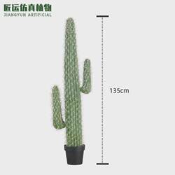 Simulated cactus cactus potted plants shopping mall landscaping cactus large cactus stick artificial simulation green plants Simulated cactus cactus potted plants shopping mall landscaping cactus large cactus stick artificial simulation green plants