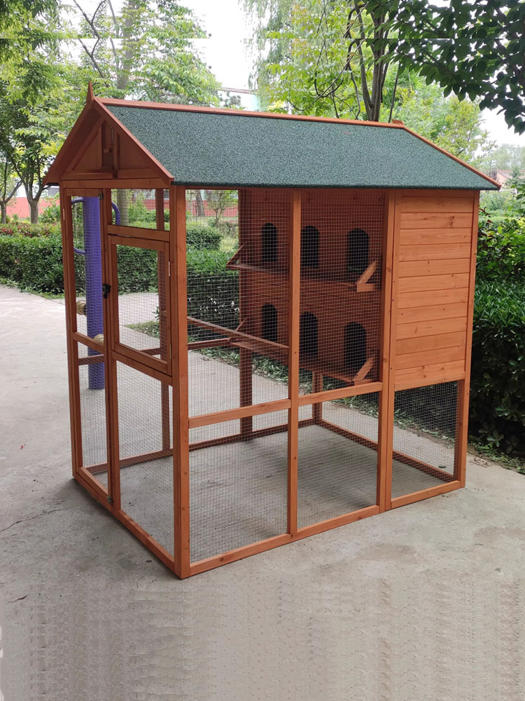鳩 : エスカーゴ | HMV&BOOKS online - KICS-933