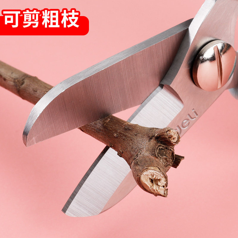 델리 꽃가위, 정원가위, 전정가위, 꽃전정가위, 꽃전정가위, 가정용 꽃가지 및 꽃도구 키트, 가지가위, 꽃집 전정 및 전정, 식물 꽃집 꽃꽂이-