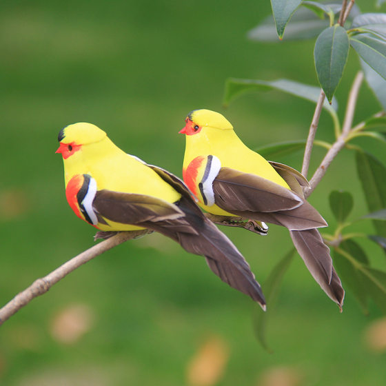 Bird oriole craft home decoration gardening decoration plate decoration simulation feather color foam bird
Bird oriole craft home decoration gardening decoration plate decoration simulation feather color foam bird