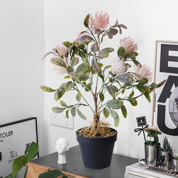 Nordic Artificial Plants Small Potted Plants Office Living Room Desktop Indoor Bonsai Decoration Ornaments Artificial Flowers and Green Plants Nordic Artificial Plants Small Potted Plants Office Living Room Desktop Indoor Bonsai Decoration Ornaments Artificial Flowers and Green Plants