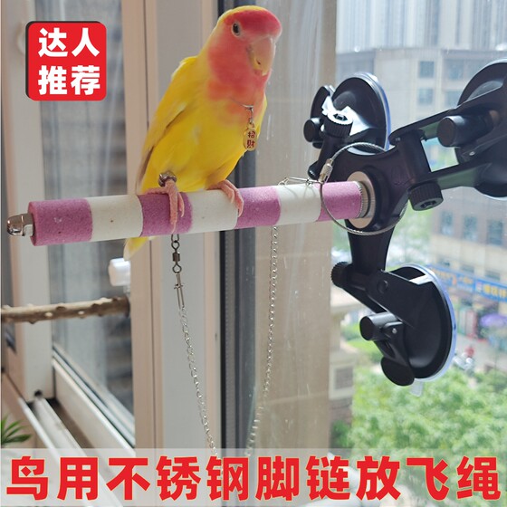 Stainless steel parrots Put a flying rope and foot chain without hurting the feet ring buckle super light tiger peony Xuanfeng special anti -off -deduction
Stainless steel parrots Put a flying rope and foot chain without hurting the feet ring buckle super light tiger peony Xuanfeng special anti -off -deduction
