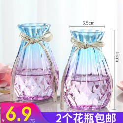 2-Piece Set of Two-Tone Glass Vases, Transparent Water-Cultured Ornaments, Living Room Flower Vases, Simple Flower Arrangement Vases, ins Dried Flower Vases 2-Piece Set of Two-Tone Glass Vases, Transparent Water-Cultured Ornaments, Living Room Flower Vases, Simple Flower Arrangement Vases, ins Dried Flower Vases
