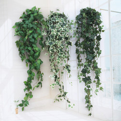 Artificial Ivy Plant Wall, Green Radish, Indoor and Outdoor Hanging Orchid, Wall-Hanging Flower Vine, Decorative Green Plant Vine Leaves Artificial Ivy Plant Wall, Green Radish, Indoor and Outdoor Hanging Orchid, Wall-Hanging Flower Vine, Decorative Green Plant Vine Leaves