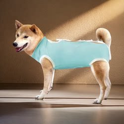 New Dog Surgical Clothing, Dog Sterilization Clothing, Weaning Dog Clothes, Pet Post-Operative Clothing, Anti-Licking, Anti-Infection Pet Clothing New Dog Surgical Clothing, Dog Sterilization Clothing, Weaning Dog Clothes, Pet Post-Operative Clothing, Anti-Licking, Anti-Infection Pet Clothing