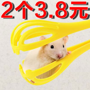 Hamster clip grabbing the mouse clip hamster gold silk bear life interactive toy products landscaping mouse catcher
 Hamster clip grabbing the mouse clip hamster gold silk bear life interactive toy products landscaping mouse catcher