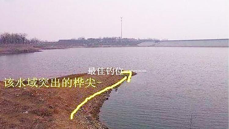 水库垂钓选择钓位的技巧-钓鱼大师