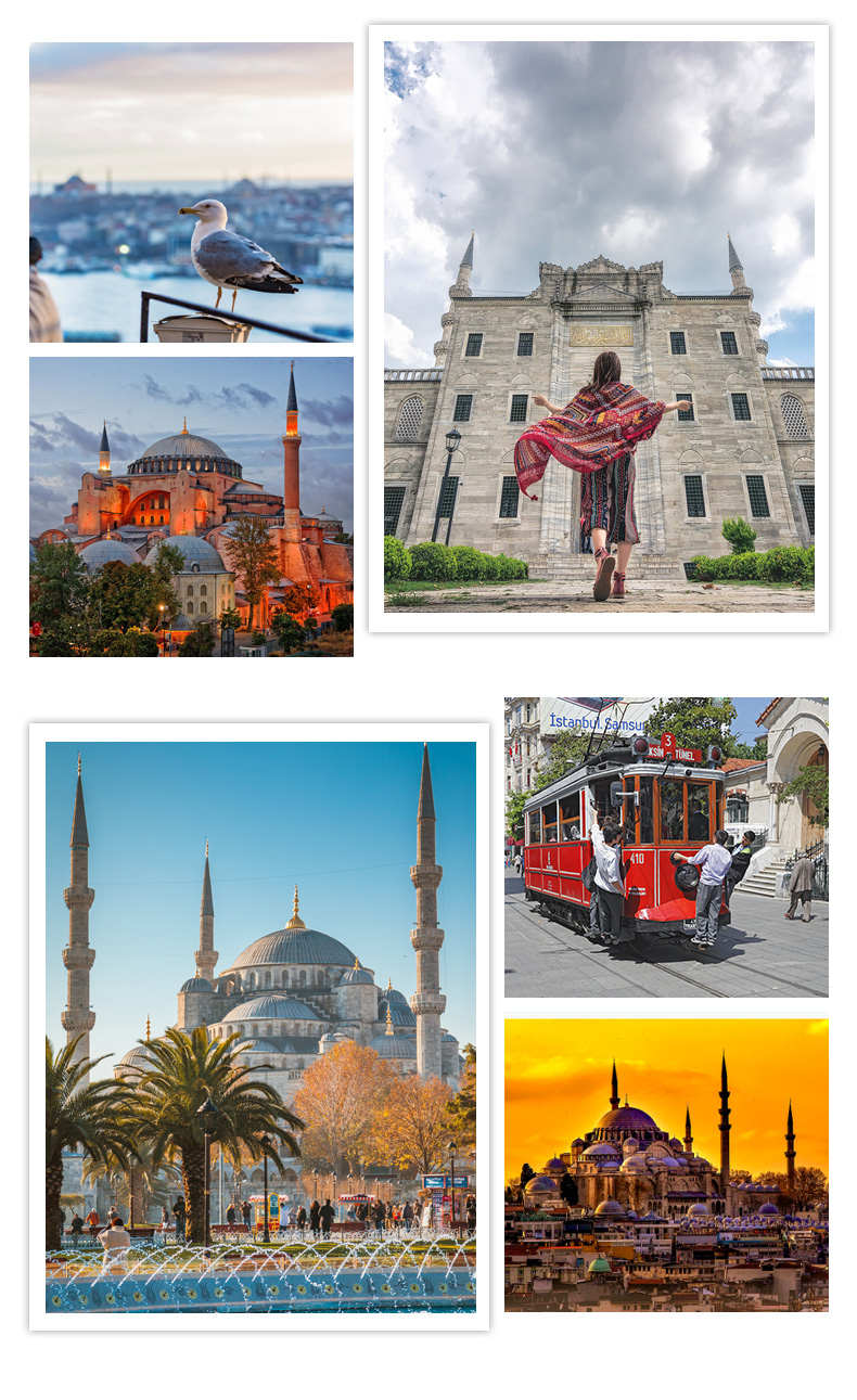 特特旅游 土耳其旅游伊斯坦布尔自由行中文地