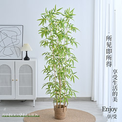 Simulated Bamboo Living Room Decoration, Artificial Green Plants, Fake Bamboo Partition Screen, Wall Divider, Outdoor Floor-Standing Landscaping Potted Plants Simulated Bamboo Living Room Decoration, Artificial Green Plants, Fake Bamboo Partition Screen, Wall Divider, Outdoor Floor-Standing Landscaping Potted Plants