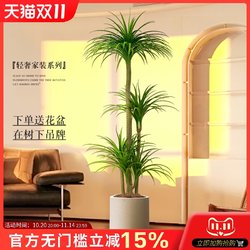 Artificial Green Plant Dracaena Indoor Potted Plant Large Artificial Plant Fake Flower Tree Decorative Shape Living Room Floor-Standing Ornament Artificial Green Plant Dracaena Indoor Potted Plant Large Artificial Plant Fake Flower Tree Decorative Shape Living Room Floor-Standing Ornament