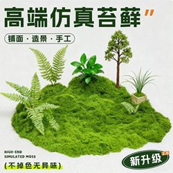 Simulated Moss Turf Micro-Landscape Bonsai Landscaping Decoration Fake Moss Fake Green Moss Plant Wall Green Plants Artificial Turf Simulated Moss Turf Micro-Landscape Bonsai Landscaping Decoration Fake Moss Fake Green Moss Plant Wall Green Plants Artificial Turf