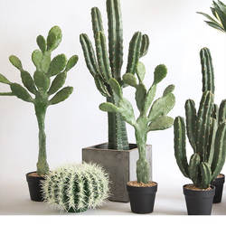 Simulated Cactus Green Plant Potted Decoration, Bionic Tropical Desert Plant Landscaping Package Combination, Fake Cactus Simulated Cactus Green Plant Potted Decoration, Bionic Tropical Desert Plant Landscaping Package Combination, Fake Cactus