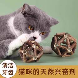 Guazhou Cat Toy Teething Stick Thin Tianliu Lotus Ball Teaser Stick Durable Chew Toy Self-Entertainment Cat Supplies Guazhou Cat Toy Teething Stick Thin Tianliu Lotus Ball Teaser Stick Durable Chew Toy Self-Entertainment Cat Supplies