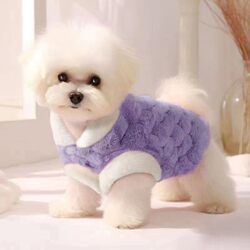 Maine Coon cat clothes, traction pet clothes, autumn and winter puppy clothes, Bichon Frize cat clothes, dog plus velvet Maine Coon cat clothes, traction pet clothes, autumn and winter puppy clothes, Bichon Frize cat clothes, dog plus velvet