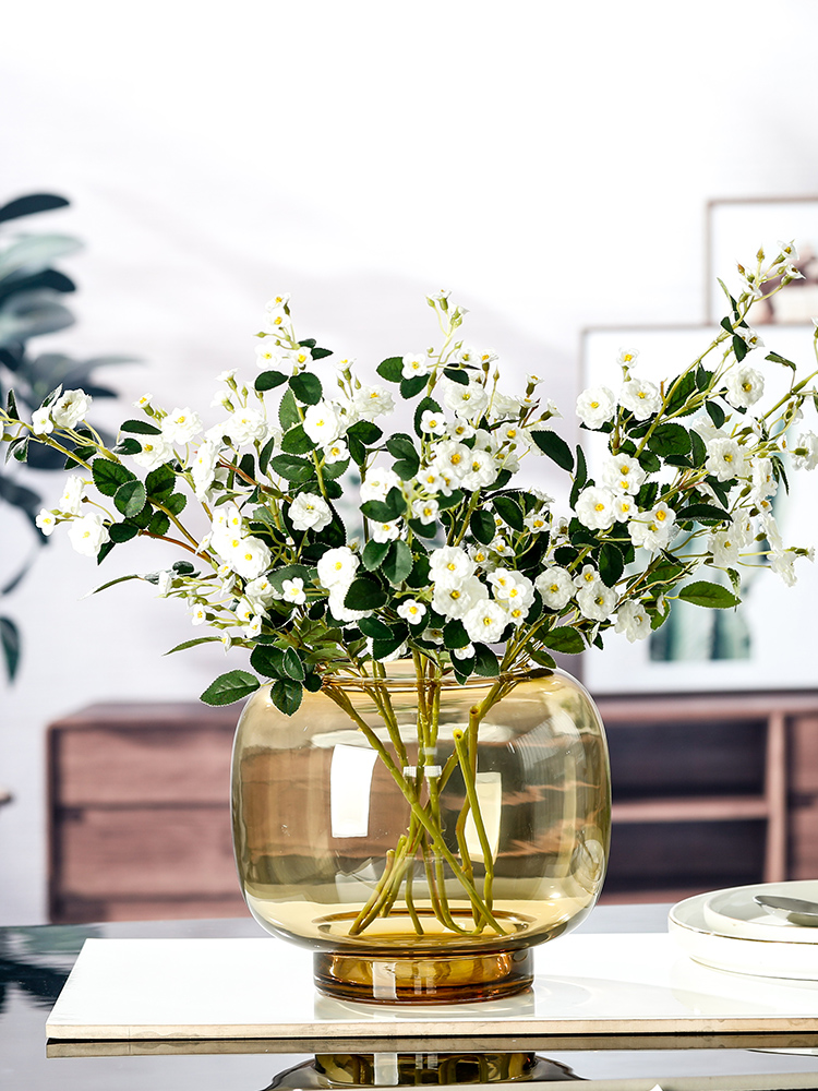 丸くて大きいガラスの花瓶 Amazon.co.jp: 丸型 ガラス 花瓶 グリーン-デザインA S