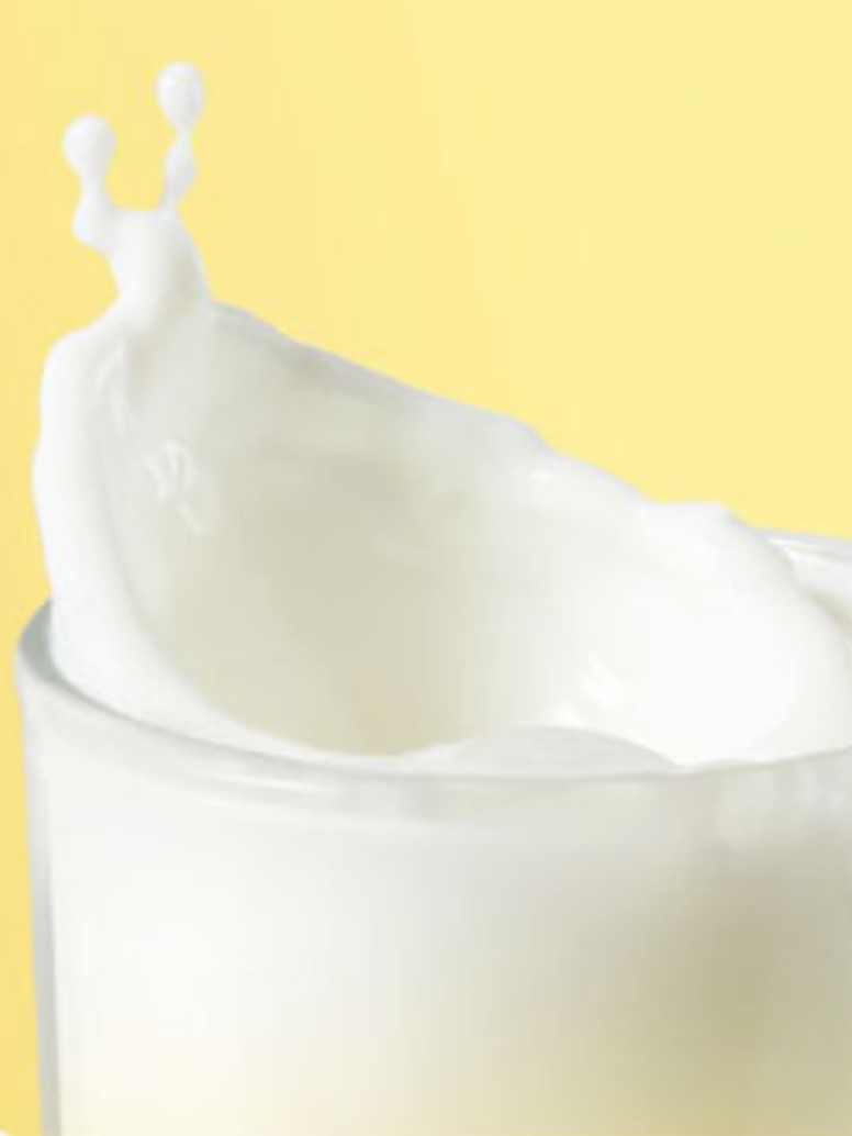 伊利 纯鲜牛奶250ml*24盒 伊利 纯鲜牛奶250ml*24盒