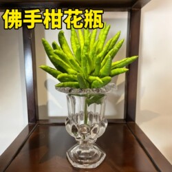 Bergamot Tray Displays Bergamot in a High-Aesthetic, Creative Hydroponic Vase, a Special Glass Vessel for Ornamental Bergamot Melons Bergamot Tray Displays Bergamot in a High-Aesthetic, Creative Hydroponic Vase, a Special Glass Vessel for Ornamental Bergamot Melons