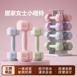 Dumbbell Ladies Fitness For Home equipment yoga kettlebell barbell kids youth bag glue small dumbbell 2kg a pair Dumbbell Ladies Fitness For Home equipment yoga kettlebell barbell kids youth bag glue small dumbbell 2kg a pair