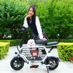 Parent-Child Electric Bicycle, Small Vehicle for Women, Mini Lithium Battery, Foldable, Suitable for Carrying Pets, Walking Dogs, and Taking Children, Battery-Powered Vehicle Parent-Child Electric Bicycle, Small Vehicle for Women, Mini Lithium Battery, Foldable, Suitable for Carrying Pets, Walking Dogs, and Taking Children, Battery-Powered Vehicle