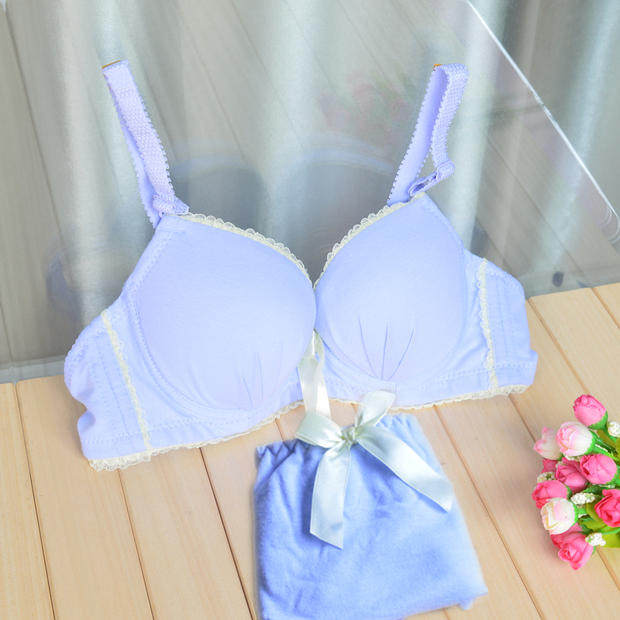 秋冬款碎花文胸聚拢软托调整型 少女学生文胸套装 爱心公主风内衣