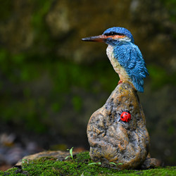 Resin Artificial Bird Ornaments Garden Rockery Pool Bonsai Micro-Landscape Decoration Kingfisher Red-Earled Bulbul Decorative Ornaments Resin Artificial Bird Ornaments Garden Rockery Pool Bonsai Micro-Landscape Decoration Kingfisher Red-Earled Bulbul Decorative Ornaments