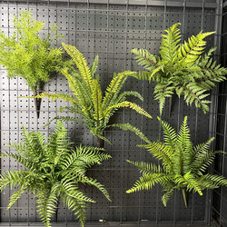 Highly Realistic Green Fern Plants, Polystelea, Large-Leaf Ferns, Tropical Rainforest Soft Rubber Green Plants for Wall Landscaping Highly Realistic Green Fern Plants, Polystelea, Large-Leaf Ferns, Tropical Rainforest Soft Rubber Green Plants for Wall Landscaping