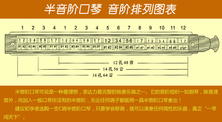 吹奏乐器玩具包邮澳洲设计木制16孔c调复音卡通宝宝口琴儿童初学