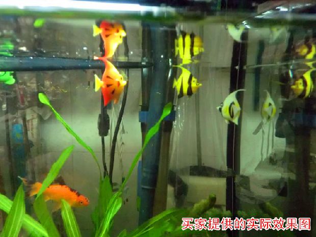 仿真鱼 鱼缸水族箱装饰小假鱼 小塑料鱼会游动的小鱼