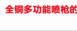 Биде 净身妇洗器喷头 全铜 洁身器 增压马桶冲洗伴侣喷枪 妇洗器套装 Genovese